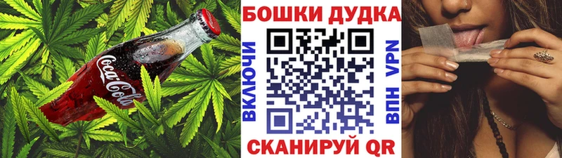 Canna-Cookies марихуана  Сосновый Бор 
