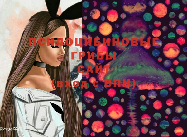 стаф Армянск